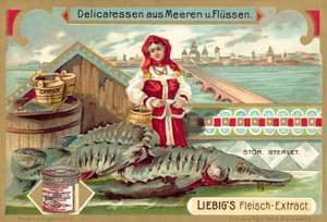 tokhal (chromolitho) alkotó: European School