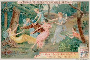 Sylphs és egy betolakodó alkotó: European School