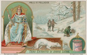 Az észak-európai nyérc alkotó: European School