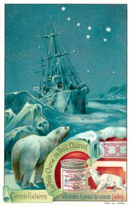 Ursa Minor (chromolitho) alkotó: European School