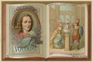 Voltaire alkotó: European School