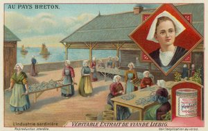 Szardínia előkészítő nők alkotó: European School
