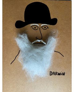 Charles Darwin alkotó: Evan Sklar