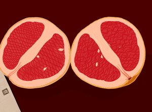 Félbevágott grapefruit. (digitális művészet) alkotó: Evan Sklar