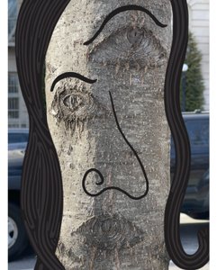 Illusztráció a fa arca fényképezés és rajzolás segítségével Brooklyn (digitális művészet) alkotó: Evan Sklar