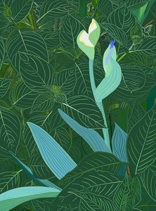  alkotó: Evan Sklar