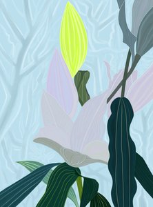 Lily (digitális művészet) alkotó: Evan Sklar