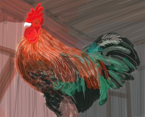 Kakas a pajtában, 2018 (kézzel rajzolva iPad-en Apple ceruzával)