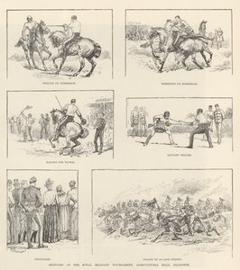 Vázlatok a Királyi Katonai Tornán, Agricultural Hall, Islington