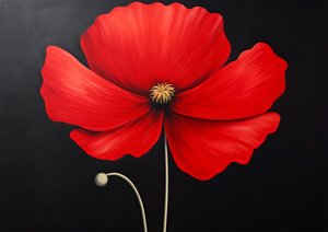 Vörös Hibiszkusz virág, virágos fali dekoráció, vászon művészeti nyomatok online alkotó: F. Abderrahim