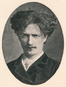 Paderewski, 1880, 1895 alkotó: F. Jenkins Heliog