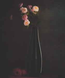  alkotó: Farid Kazamil