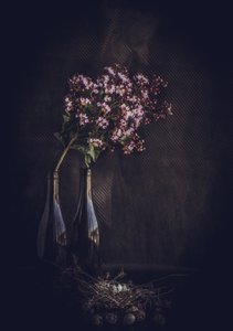  alkotó: Farid Kazamil