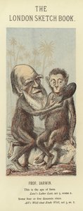 Charles Darwin karikatúrája