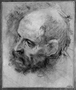 Balra forduló és oldalra hajló szakállas férfi fejtanulmánya alkotó: Federico Barocci
