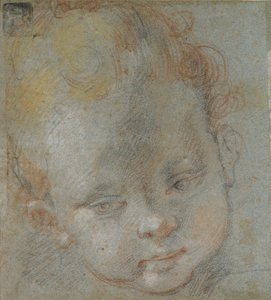 Egy gyermek feje, 16. század vége alkotó: Federico Barocci