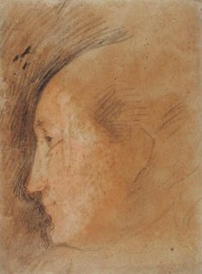 Női fej profilban balra alkotó: Federico Barocci