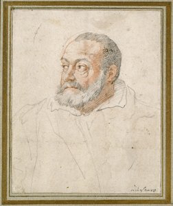 Férfiportré (vörös kréta és fekete ólom, papír) alkotó: Federico Zuccaro