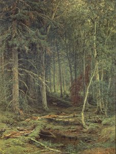 Mocsár az erdőben, 1872 ősz