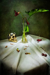 Gótikus koponya – Vanitas alkotó: Felice Angelino