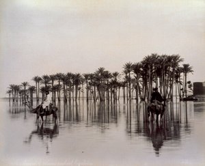 Férfiak tevén, miközben átkelnek egy egyiptomi sivatagi területen, amelyet a Nílus elárasztott Egyiptomban alkotó: Félix Bonfils