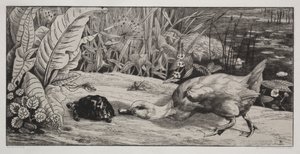 Egy Ismeretlen alkotó: Felix Bracquemond