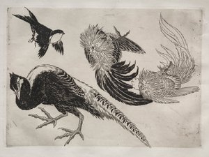 Vacsora (Rousseau szolgáltatás): Fácánok és madár (18. sz.) alkotó: Felix Bracquemond