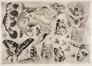 Vacsora Rousseau szolgáltatás: Pillangók és halak sz. 1866. 16. alkotó: Felix Bracquemond