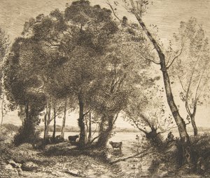 A tó, 1861. alkotó: Felix Bracquemond