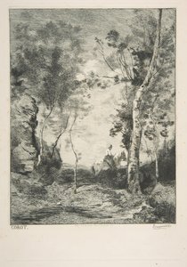 A fehér ló, 1858. alkotó: Felix Bracquemond