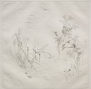 Párizsi szolgáltatás (Haviland szolgáltatás): Nyugodt (3. sz.) alkotó: Felix Bracquemond
