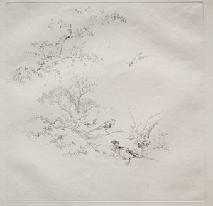 Párizsi szolgáltatás (Haviland szolgáltatás): Köd (1. sz.) alkotó: Felix Bracquemond