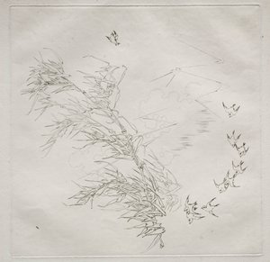 Párizsi szolgálat (Haviland szolgáltatás): A vihar (8. sz.) alkotó: Felix Bracquemond