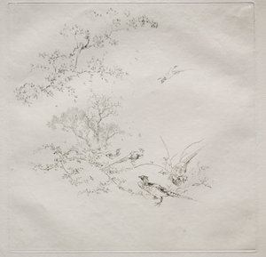 Parisian Service Haviland szolgáltatás: Köd sz. 1, 1875. alkotó: Felix Bracquemond