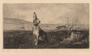 A nyúl Le Hare, 1865.