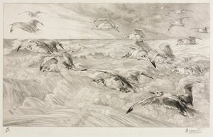 A sirályok, c. 1880. alkotó: Felix Bracquemond