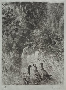 A Meglepett Kacsák alkotó: Felix Bracquemond