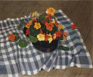 Nasturtiums tál alkotó: Felix Edouard Vallotton
