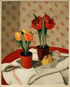 Két cserép piros és sárga tulipán