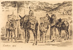Délvidéki szamárlapok, 1873. alkotó: Felix Hilaire Buhot