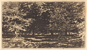 Erdő. alkotó: Felix Hilaire Buhot
