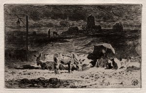 A szamarak a Cailles-hegyen alkotó: Felix Hilaire Buhot