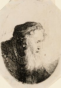 Öregember hullámzó szakállal alkotó: Ferdinand Bol