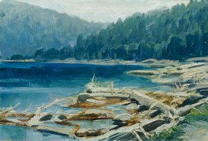 Šumava (a „Česka Krajiná cseh tájainak 16 képe” című portfólióból)