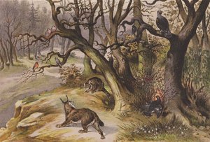 Február (színes litográfia)