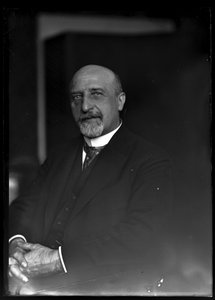 Karl Seitz (1869-1950) képe alkotó: Ferdinand Schmutzer