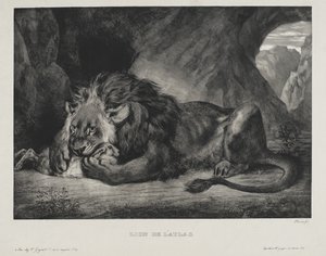 Oroszlán az atlaszból, 1829 alkotó: Ferdinand Victor Eugene Delacroix