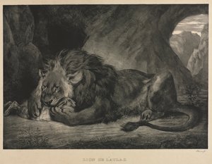 Atlasz oroszlánja, 1829. alkotó: Ferdinand Victor Eugene Delacroix