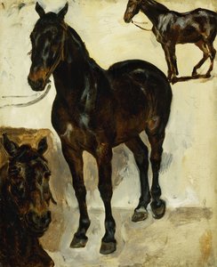 Három tanulmány a lovakról; Három tanulmány a lovakról, 1823 körül alkotó: Ferdinand Victor Eugene Delacroix