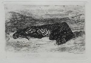 Tigris feküdt a sivatagban. alkotó: Ferdinand Victor Eugene Delacroix
